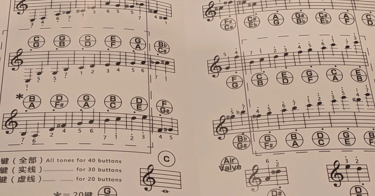 Blazefine Anglo concertina を買ってみた！…コンサーティーナという