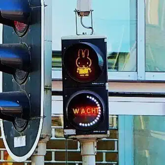 栗鯊