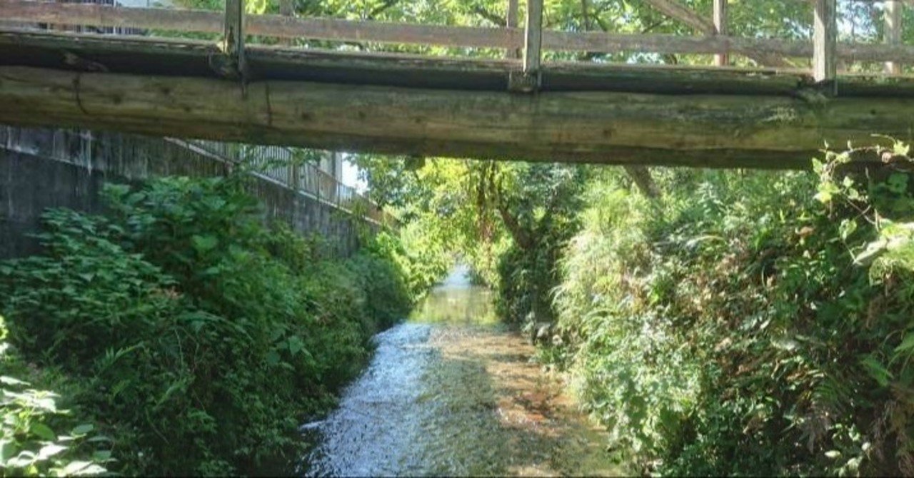 獲りバカ日誌 １ 用水路で魚獲り ひらしー Note