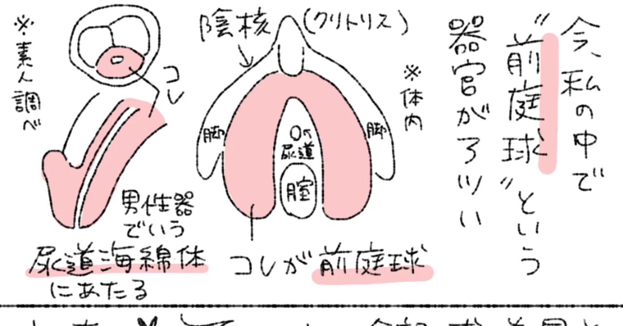 前庭球という女性器(の一部)がアツい|ノンタン@モブうさぎ