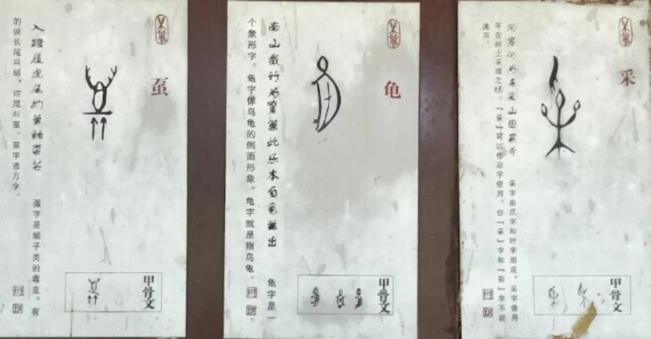 🇨🇳これが漢字のルーツだっ！｜ハラ