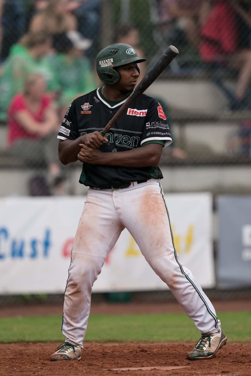 ドイツ野球 ブンデスリーガ １部所属チーム紹介 北地区編 ドイツ野球 元サラリーマンブンデスリーガーなおき Germany Note