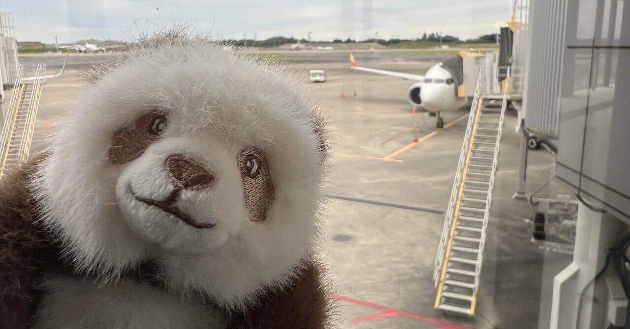西安パンダ旅行Day1: 海南航空で西安へ｜ニシローランドイエベゴリラ