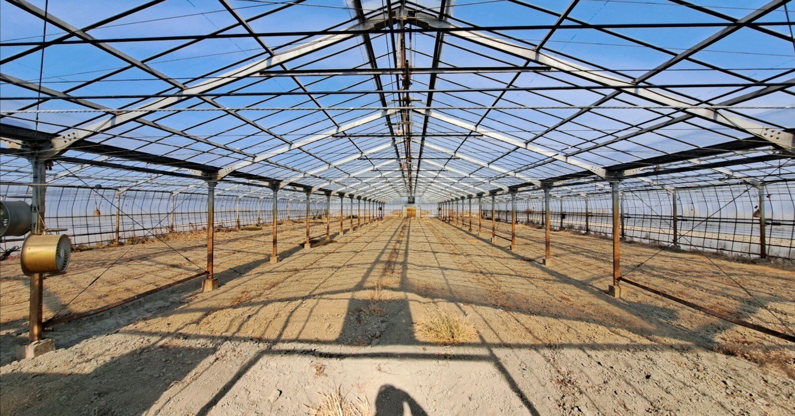 木村農園の作業記録#1〜初年度の振り返り【ハウス探し〜土作りの失敗