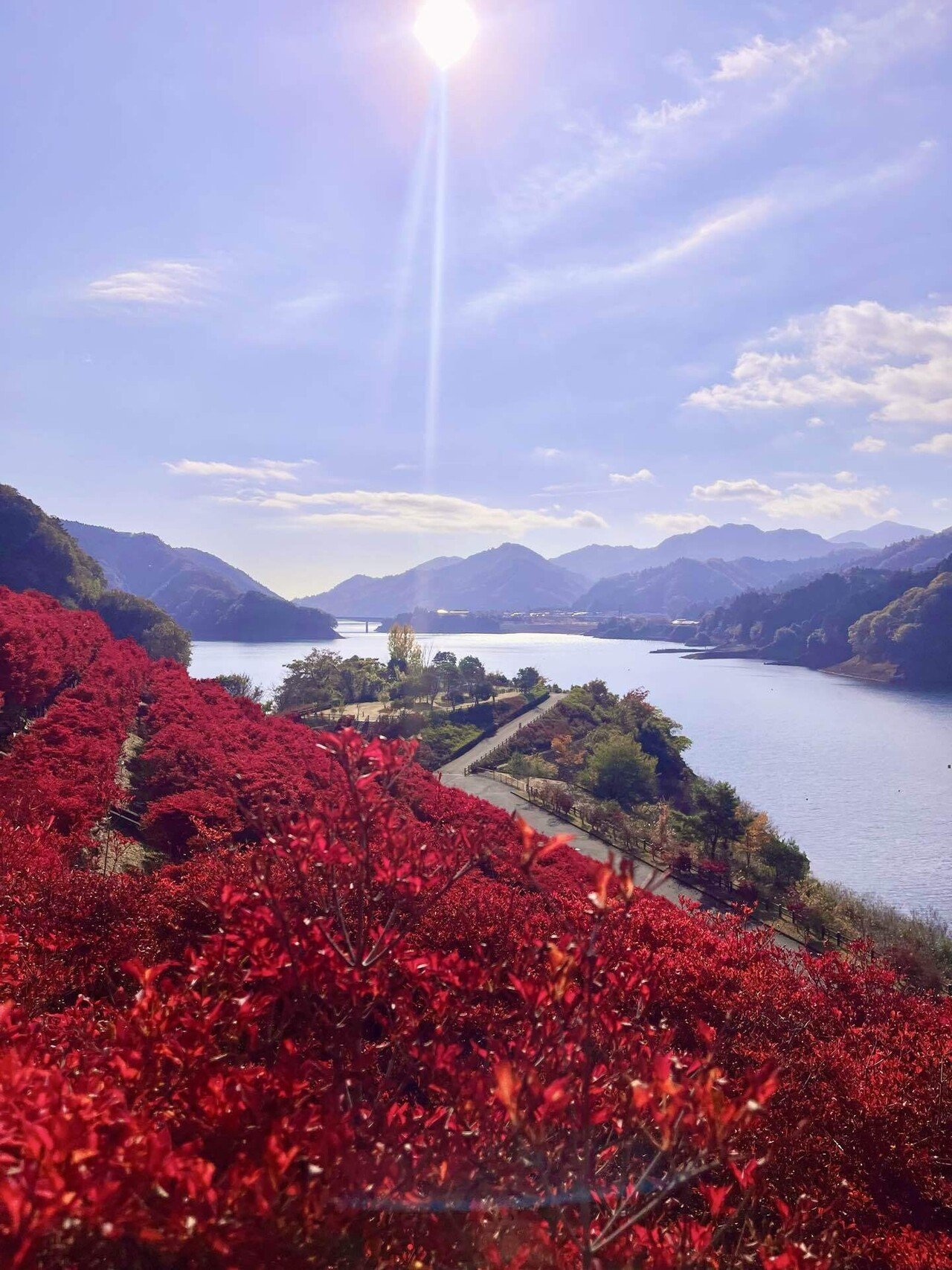 一言日記）紅葉を見に行った！！！（宮ヶ瀬湖）｜はる