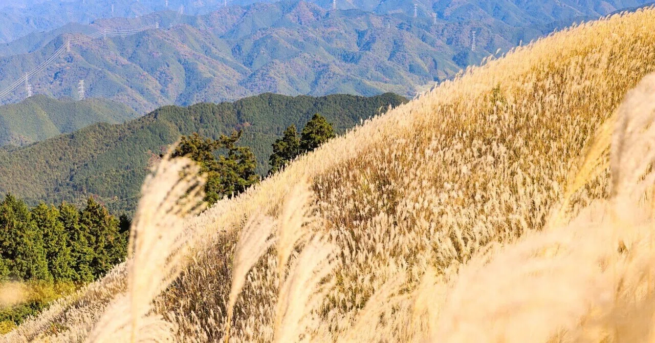 岩 湧 山 熊