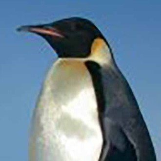 かわいい人にかわいいと言うのは 僕としては結構ありえない 安原健太 Note