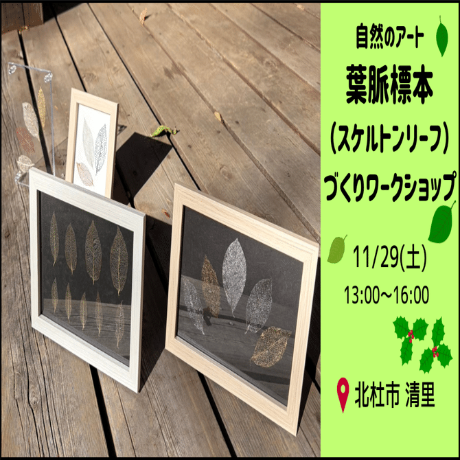 イベント】自然のアート『葉脈標本（スケルトンリーフ）』づくりワーク