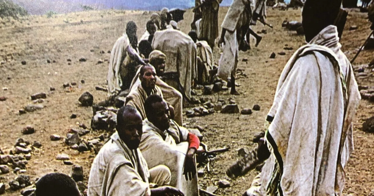 African Music Journey: 3 Countries to Learn While Experiencing the ...