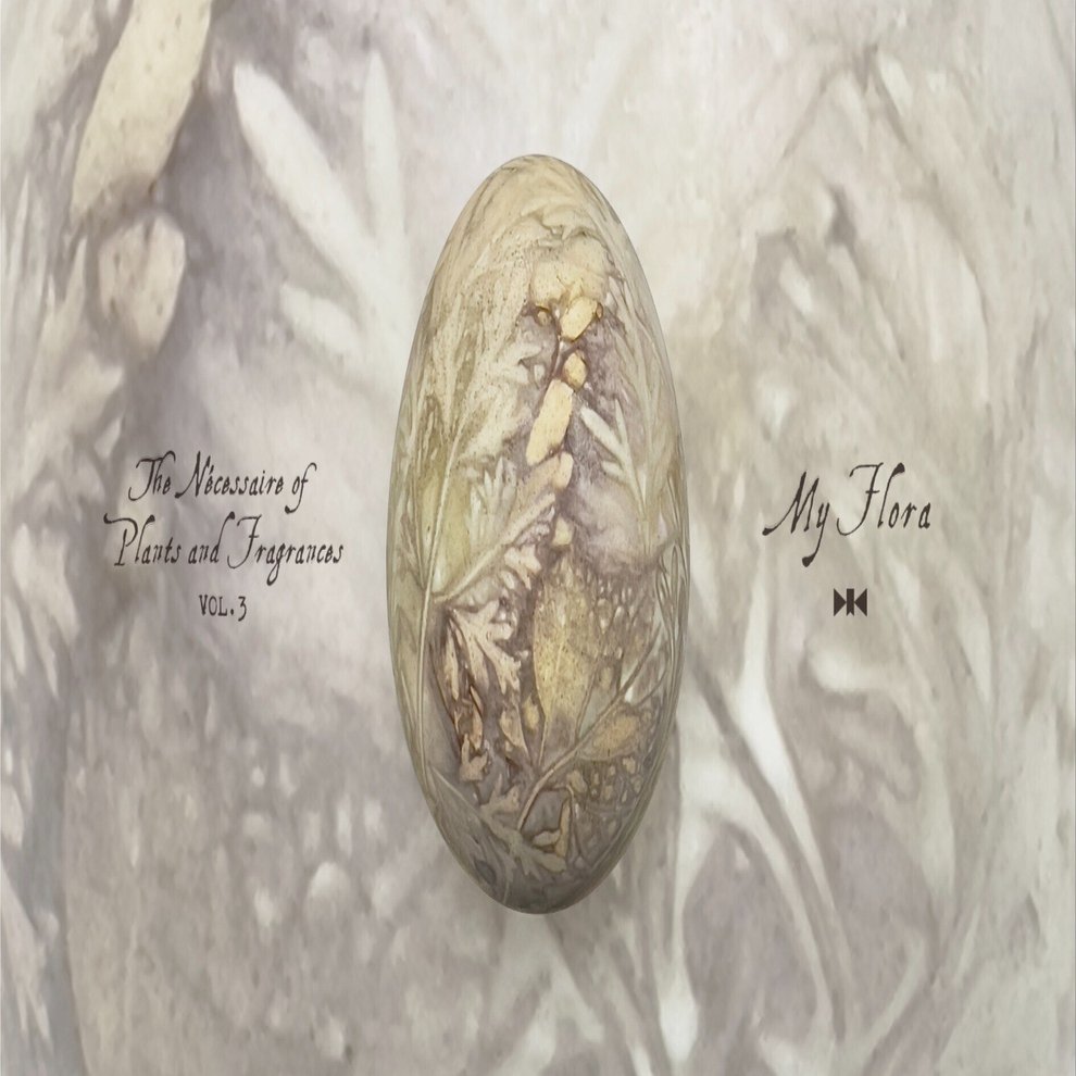 私の植物相｜深瀬優子｜挿絵、向こう側の子｜｜SCRIPTORIUM｜菫色の写字室