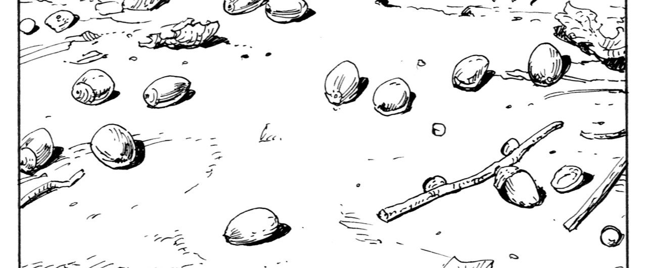 どんぐり100個の道しるべ キクラゲ校長 ちくわ どんぐり Note