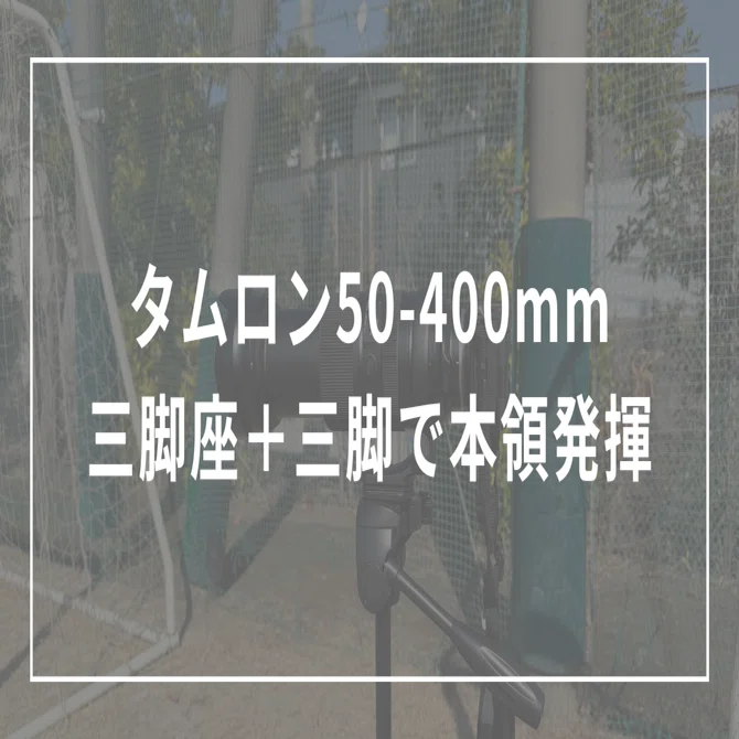 タムロン50-400mmは三脚座＋三脚を足して本領を発揮した｜ずー