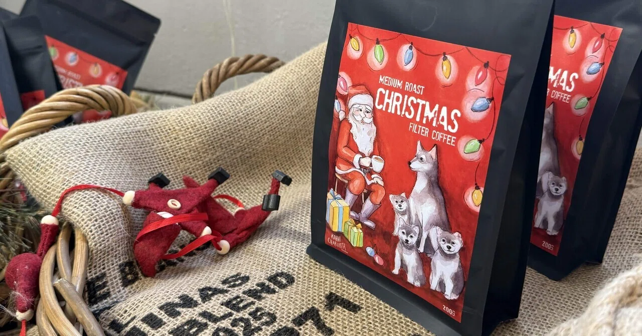 とあるフィンランドの初雪のクリスマスマーケットで｜kokko🇫🇮