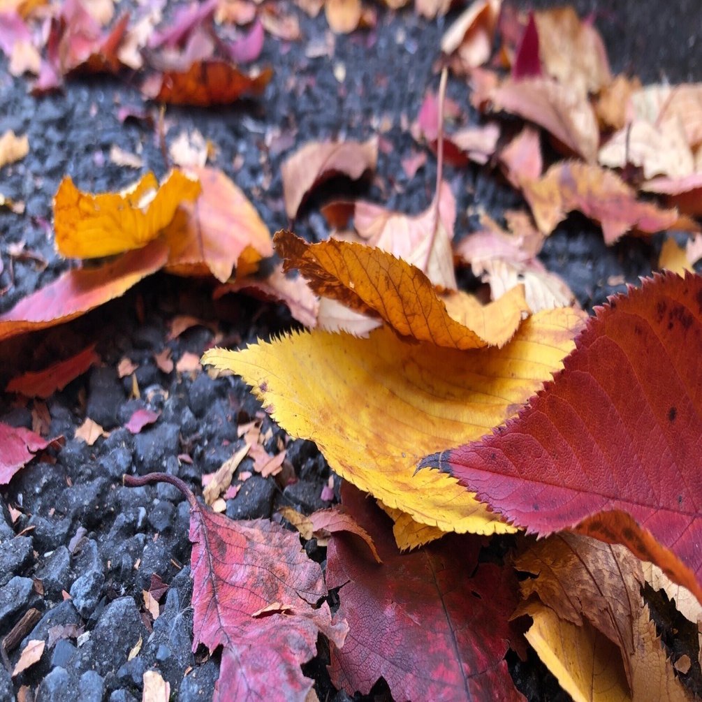 みずほリースのSPCのジャパン・インフラファンド投資法人に対するTOBで、掲示板が荒れています。売ったほうがいいの？｜公認会計士 山下章太