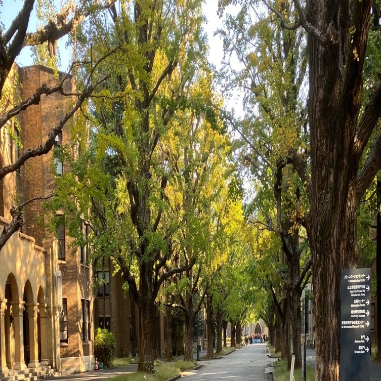 2025-11 月記｜hari64