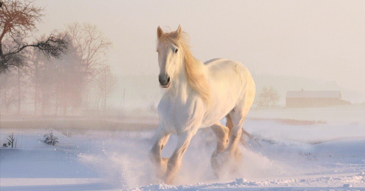 令和8年・2026年 干支の午グッズのご紹介｜乗馬ファッション通信