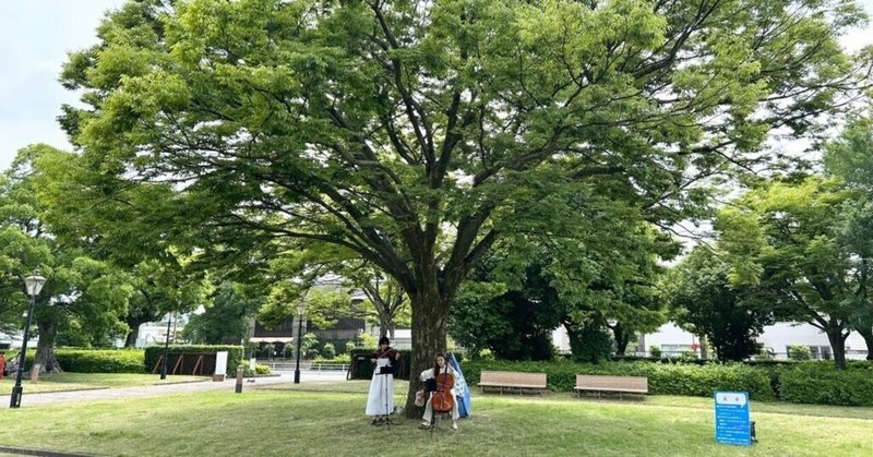 思い思いに過ごせる、やさしい時間を：姫路「木かげまつり」＠美術館前庭