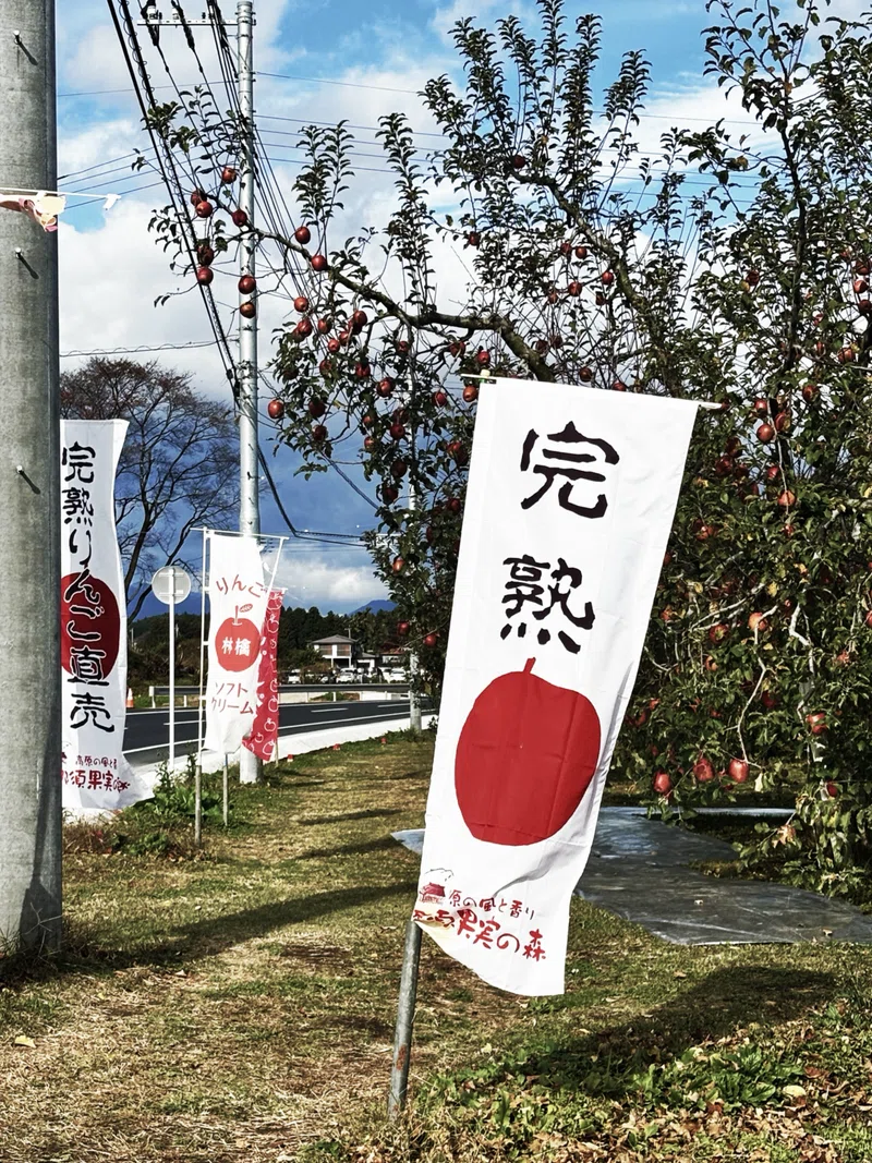 大野りんご園