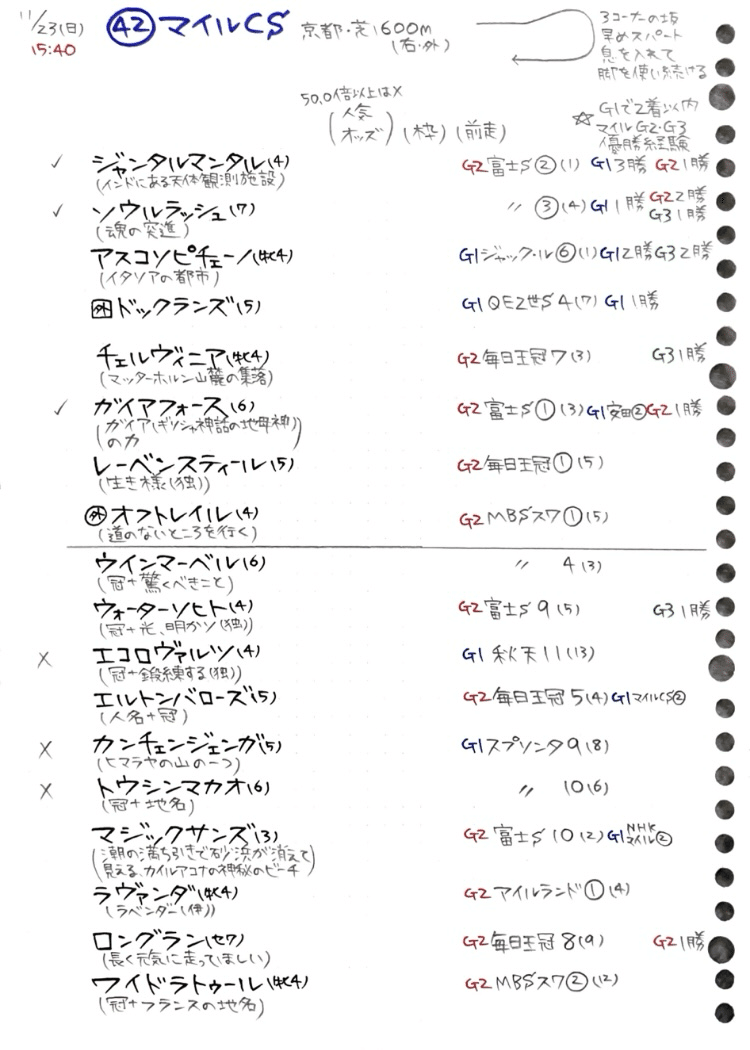 マイルチャンピオンシップ 2025｜YuMi