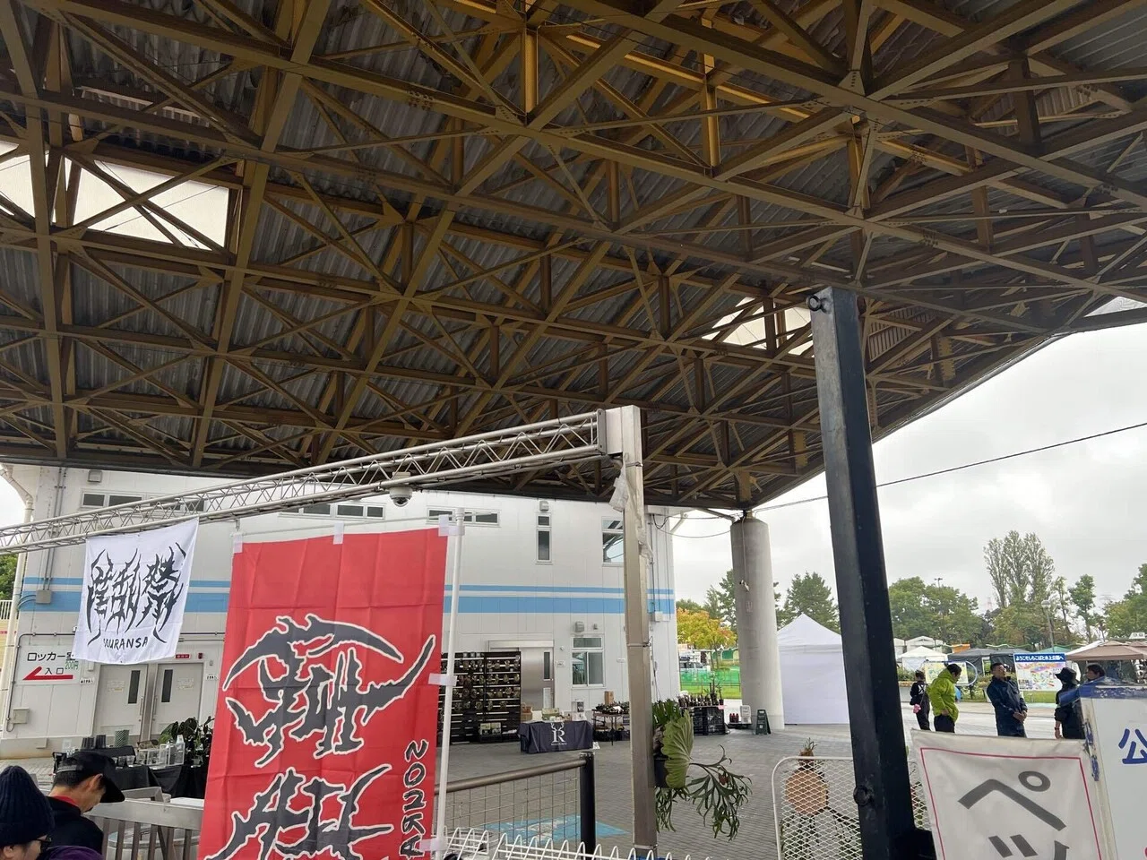 アガベ沼に落ちた話39「夫婦アガベ・イラン株・草乱祭・富士山フェスタ
