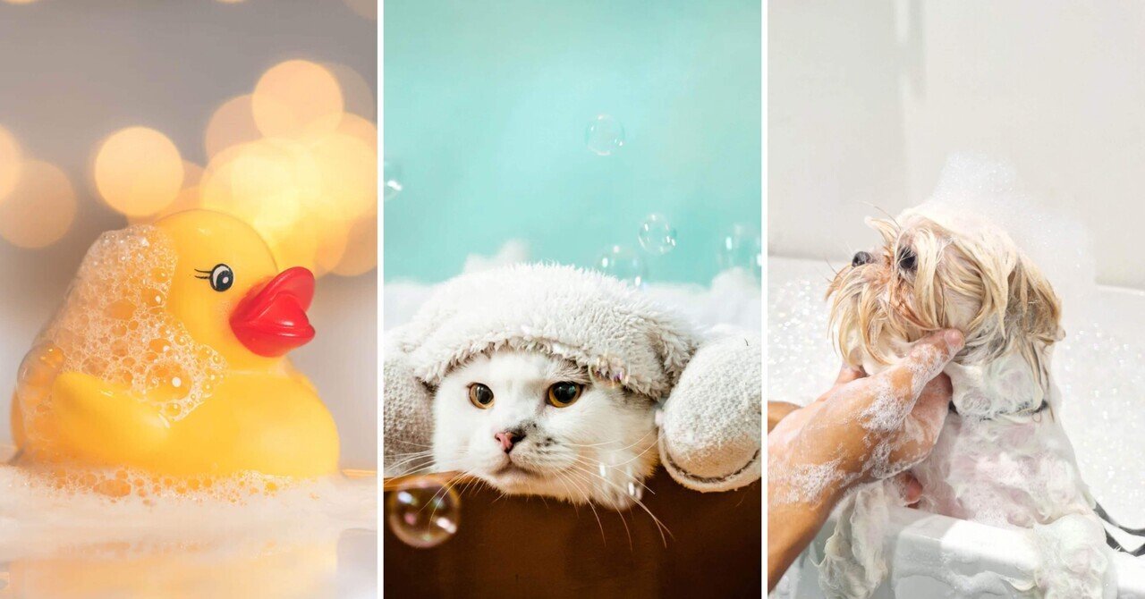 自信がないことに、自信がある人。無限のめんどくさいに沼る人。【つぶやき】｜Daniel x Inoue《ダニエル×イノウエ》