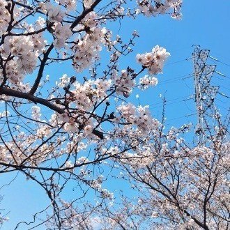 同人、レトロ