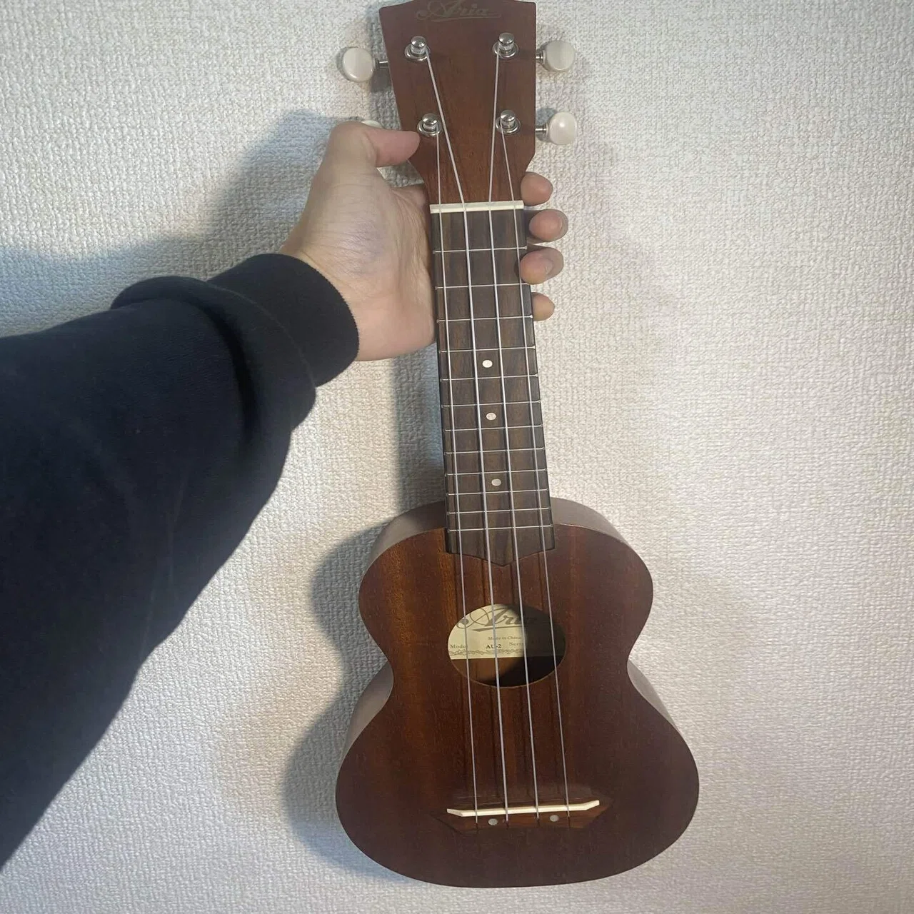 中古3000円のウクレレってどう？講師が実際に買って弾いてみた｜Aria 