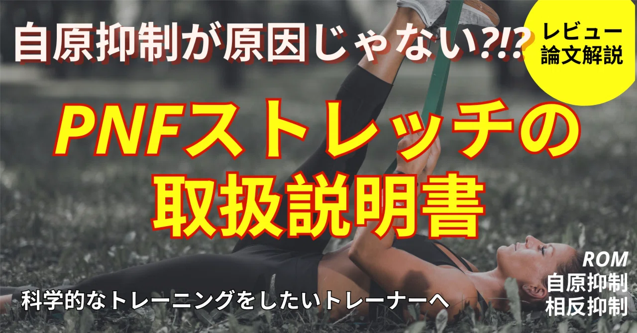 固有受容性神経筋促通法（PNF）ストレッチングのレビュー論文の解説｜Shun トレーナー in シドニー🇦🇺