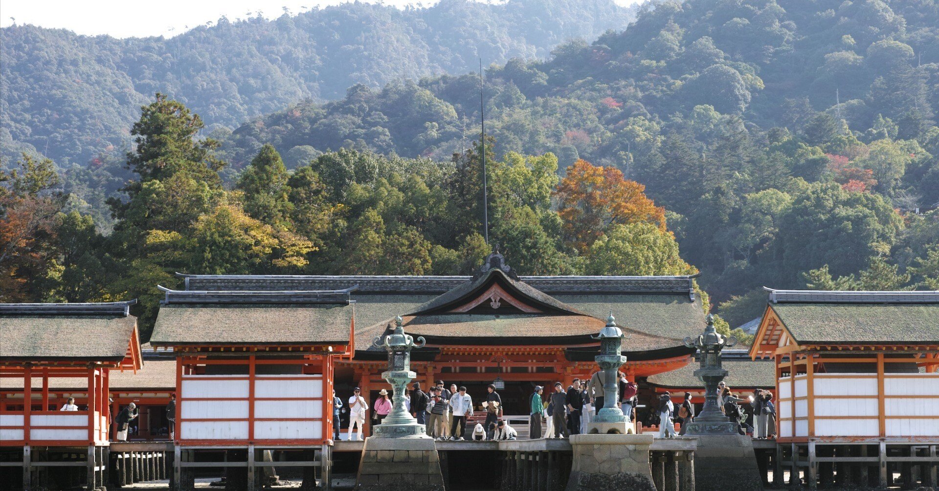 宮島 十数年ぶりの宮島 | SIGMA DP3 Merrill｜にしかわささき