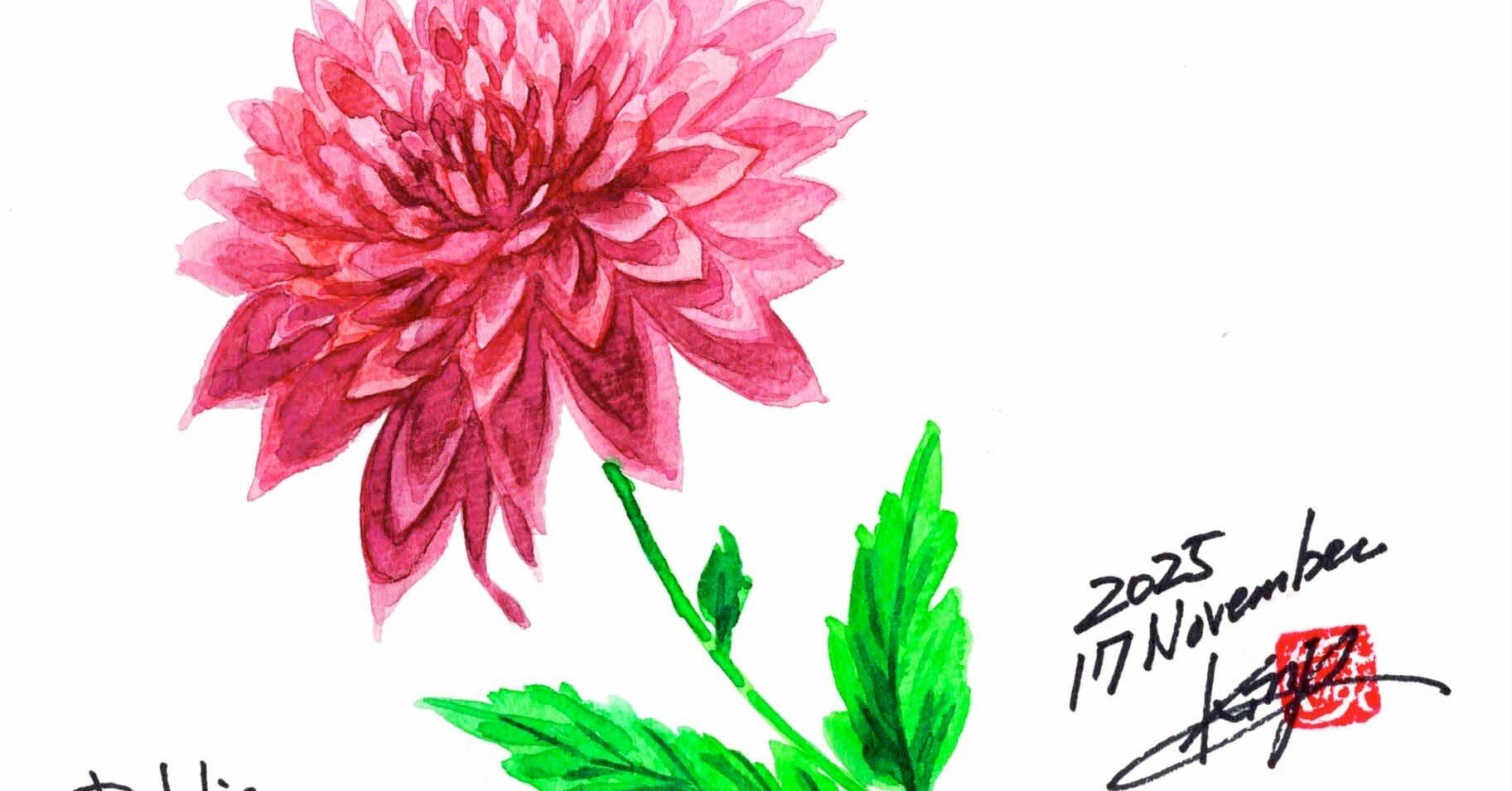 今日も花で、ダリアでございます。｜kinta65