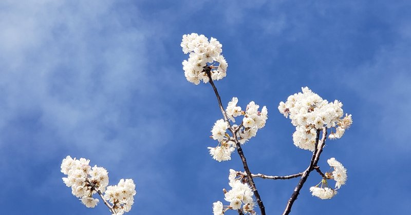 Mr Childrenのおすすめ曲たち めざましテレビ Taka S Note Note