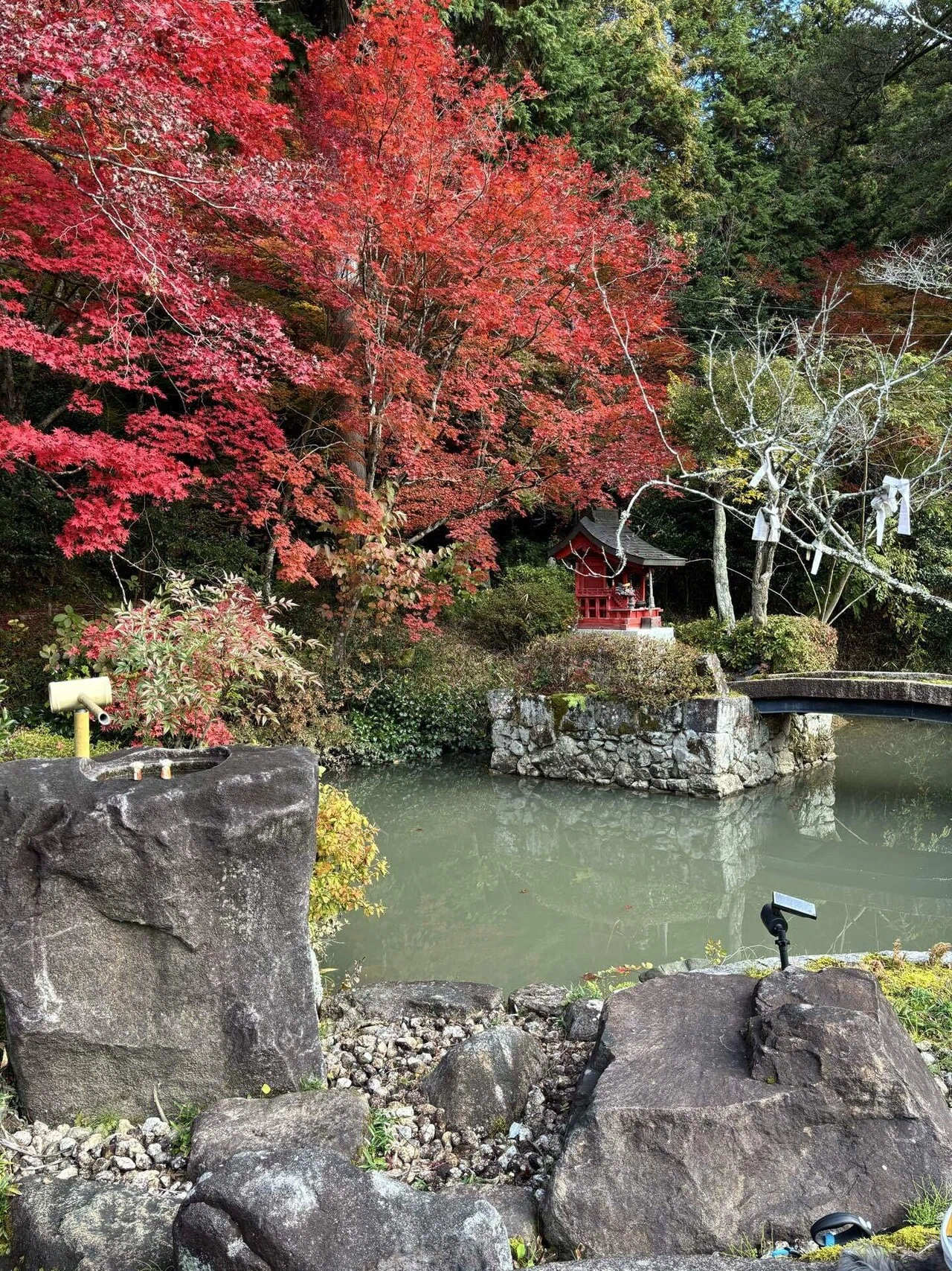My First Note] The Slowly Flowing Autumn I Encountered at Daikoku