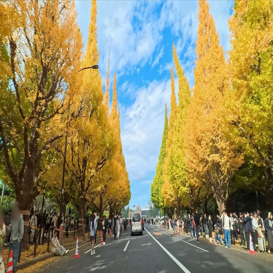 ✨ショット数1363回で美品✨インスタ撮影✨GR DIGITAL III　591 東京 観光・撮影スポット】神宮外苑のいちょう並木 アクションカメラで