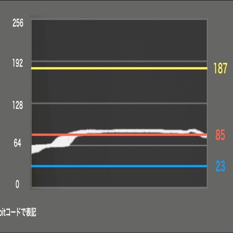 3 NIKON ZRでR3D NE撮影時におけるWFM（ウェーブフォームモニター）で