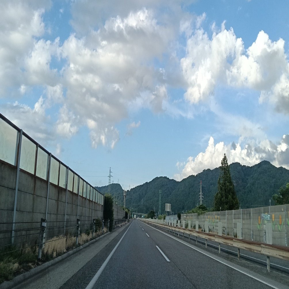 根っこ付き確認画像です♪ 根っこ付き確認画像です♪