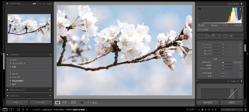Vol 31 Lightroompc現像編 ディテールと彩度 Kita Note Vol 31 Lightroompc現像編 ディテールと彩度 Kita Note