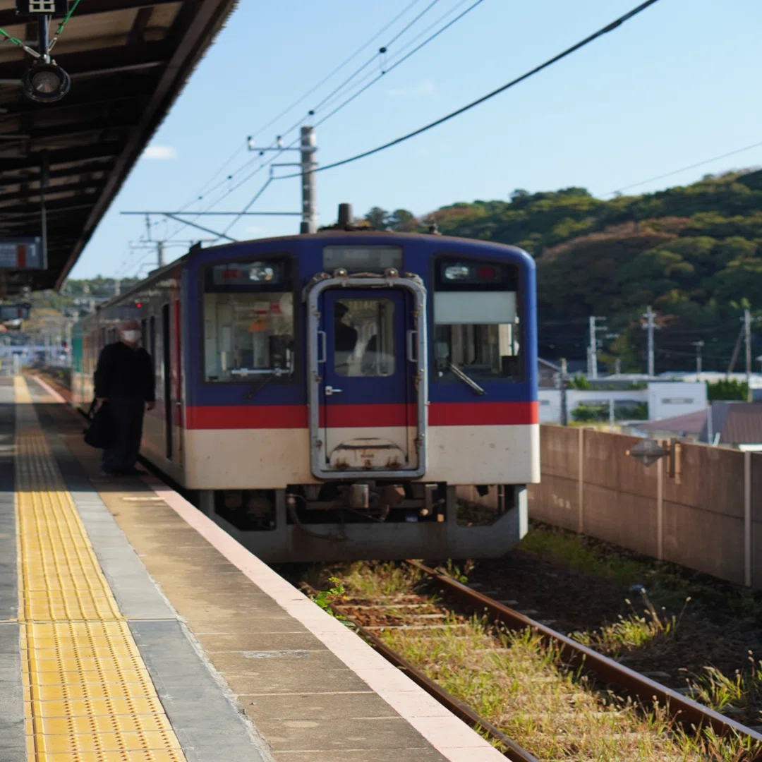 立冬の日帰り一人旅】鹿島臨海鉄道で茨城県縦断&鹿島神宮と成田山新勝