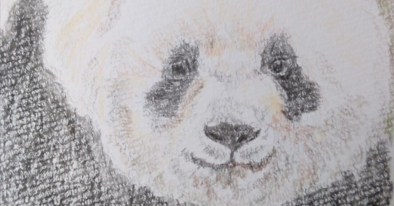 パンダデッサン練習第30週 11/16-11/22｜こひろ@こぎん刺しの