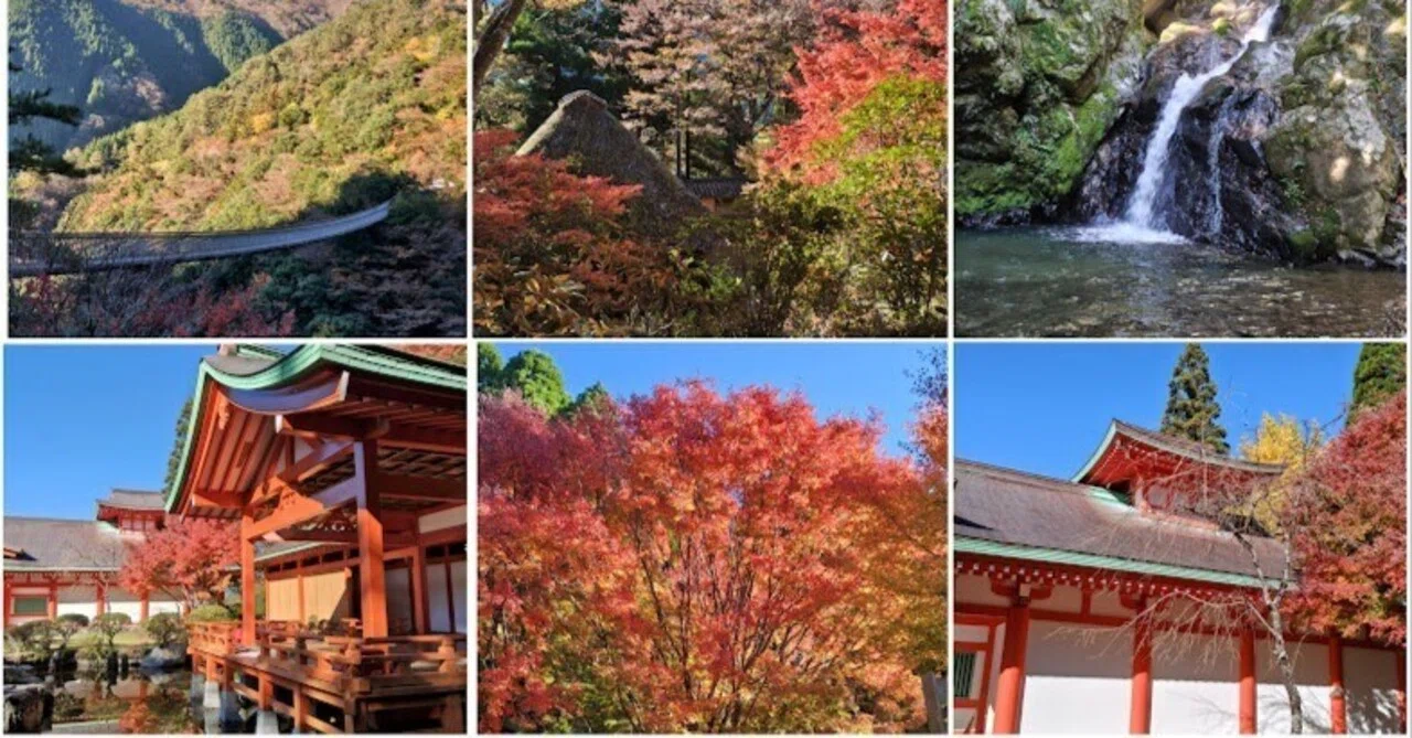 ☆平家落人の里・梅の木轟公園と五家荘平家の里へ🍁紅葉狩り｜たかしママ