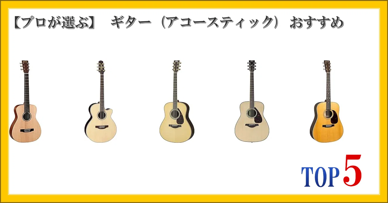 【現状品】Pro Martin EA500W VS アコースティックギター 良音/Pro Martin EA500W VS アコースティックギター
