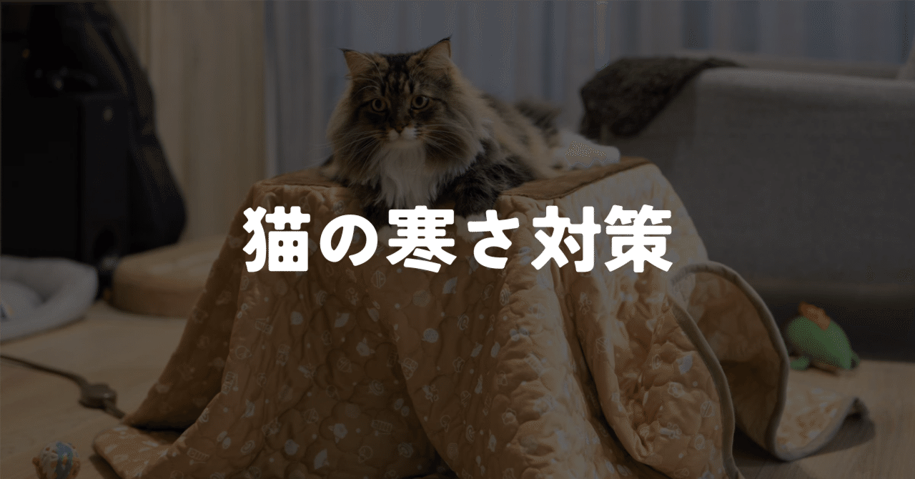 冬猫 猫の寒さ対策。サイベリアンでも冷える冬に猫用こたつを買ってみた