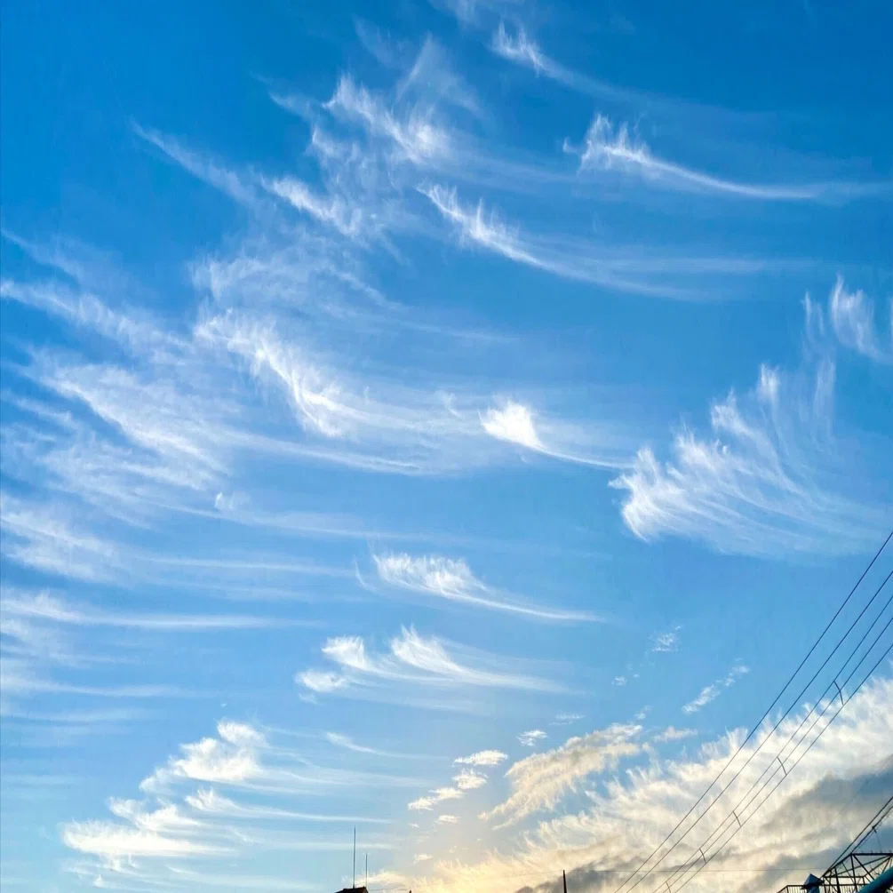 【中古】 絹のすじ雲 空に描かれる神々の芸術 ー すじ雲｜はみー