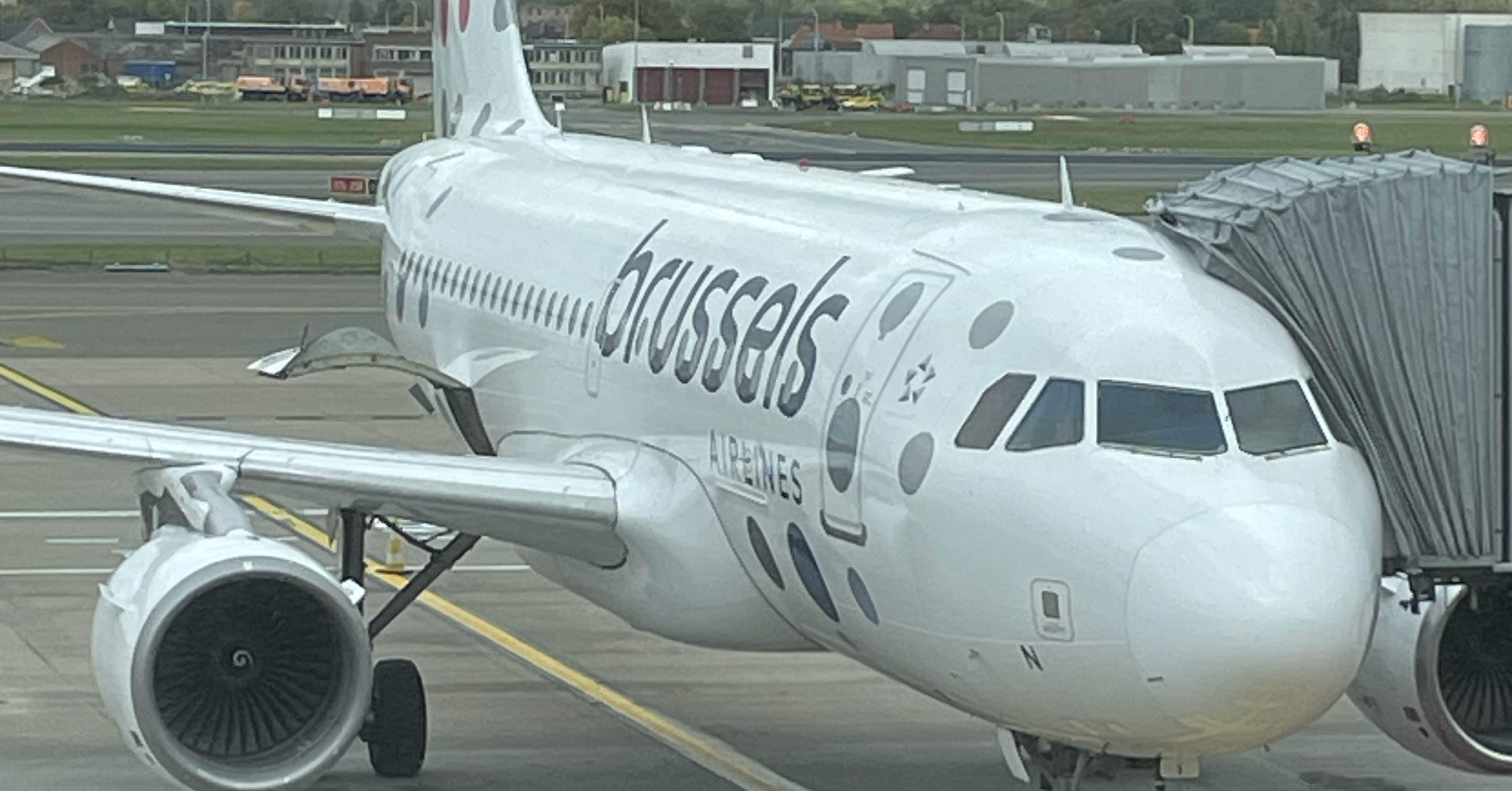 日本に馴染みはありませんが…ブリュッセル航空 エアバス A319 日本に