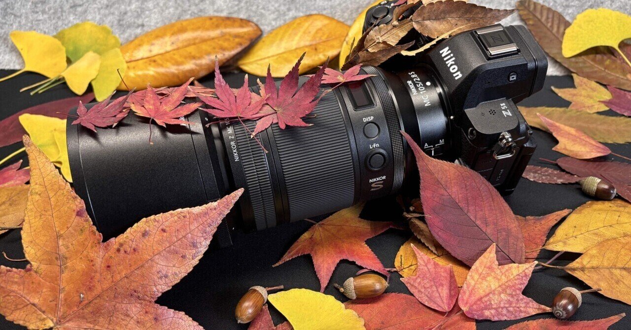 ❤Nikon D5300❤奇跡のS数105回❤美品❤紅葉撮影も◎❤Wi-Fi搭載 _ ・ この秋は拝観できるのかな？ ・ The ultimate autumn in Kyoto