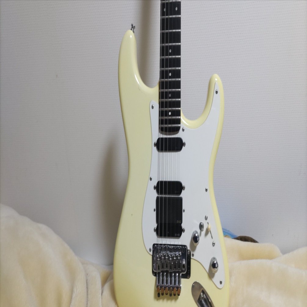 P-Project PAW-4 和田アキラモデル P-PROJECT PAW-4 和田アキラモデル｜清明桔梗紋