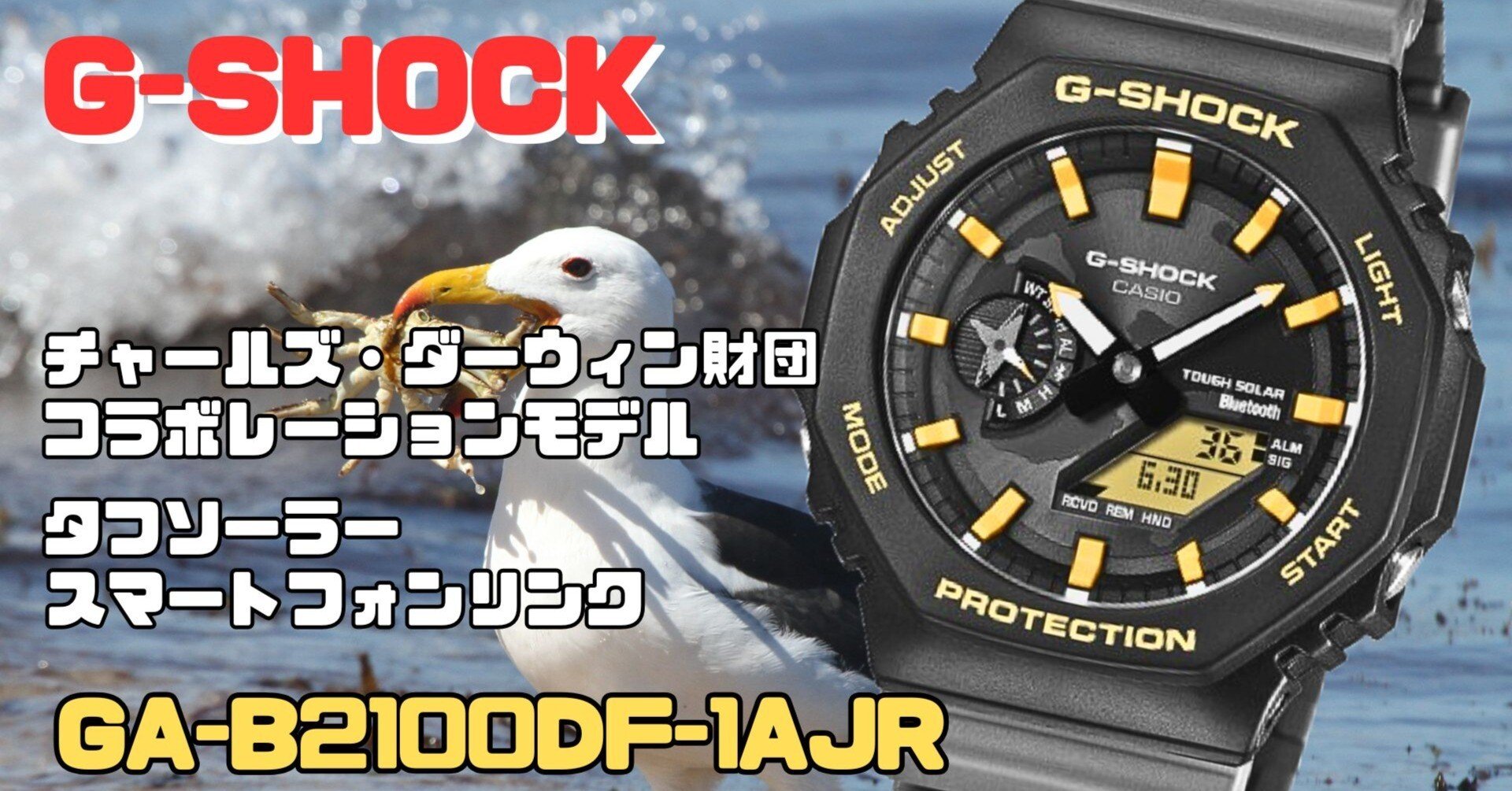 CASIO G-SHOCK GA-B2100DF-1AJR｜チャールズ・ダーウィン財団