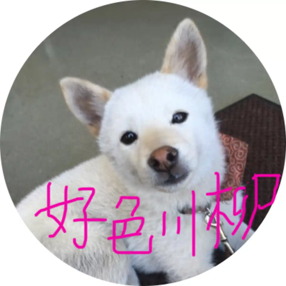ジャグラー