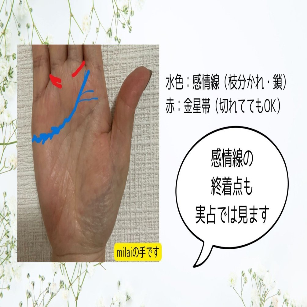 マルシェ出店者の手相には共通点がある？感情線と金星帯の不思議｜書く