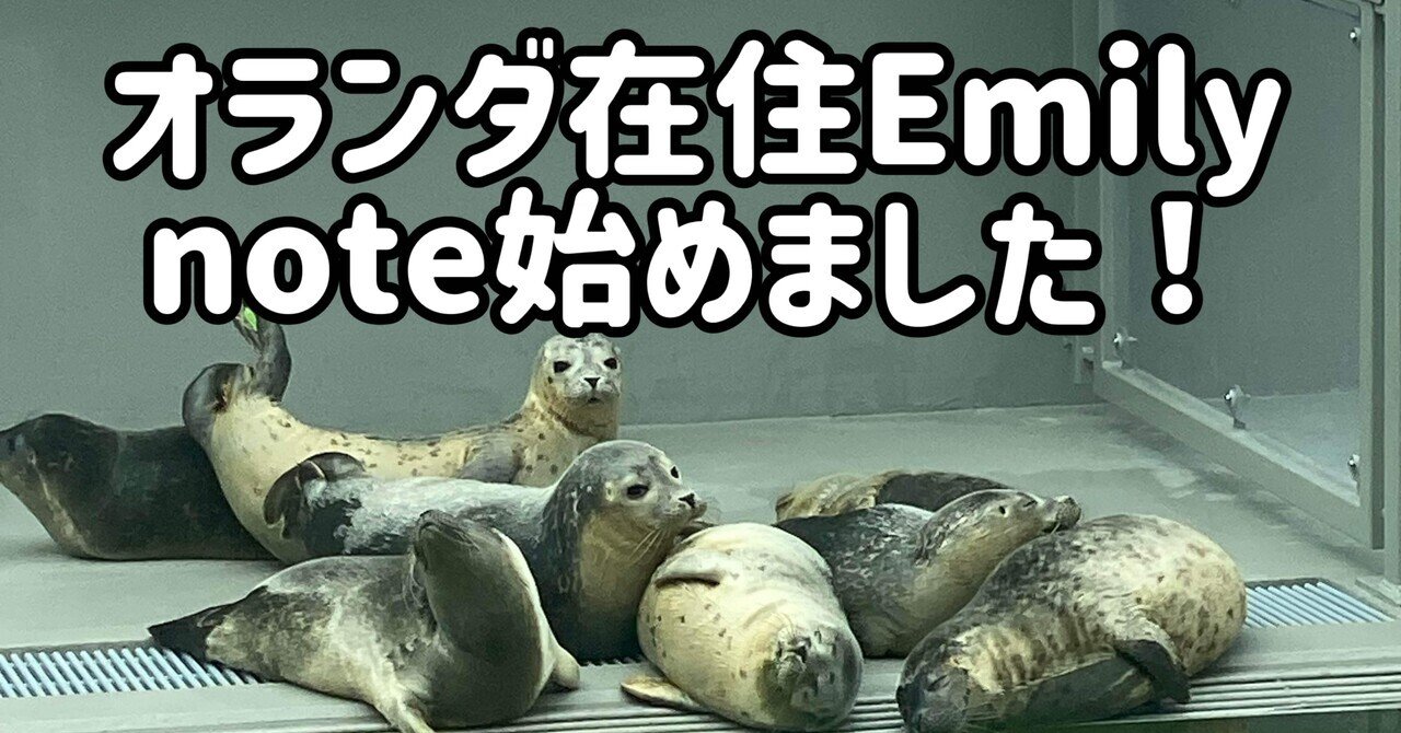 初投稿】私がオランダでアザラシ幼稚園にハマったワケ：保護活動への