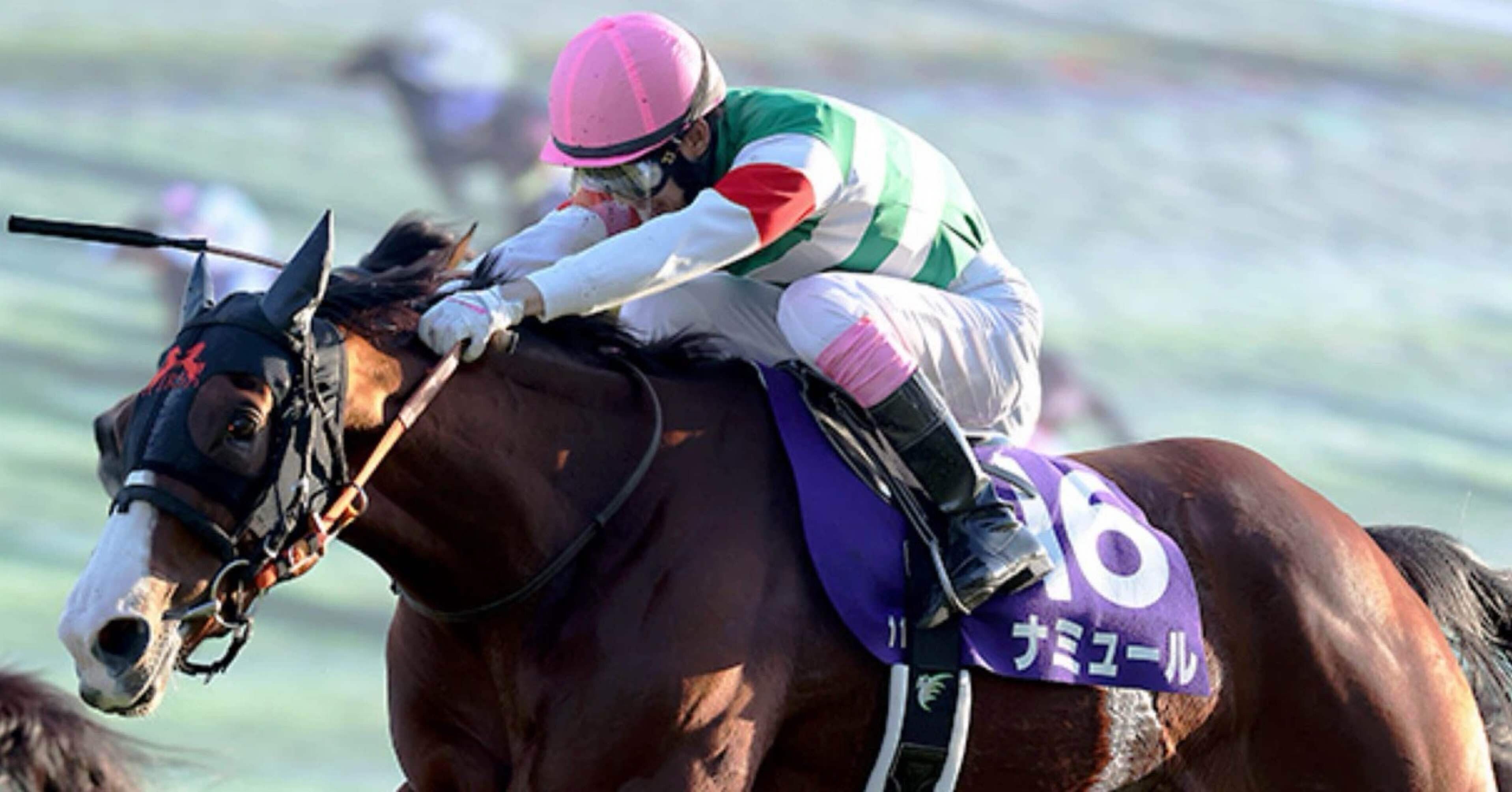 マイルチャンピオンシップで勝ち負けする馬に必要な絶対的な条件｜シン